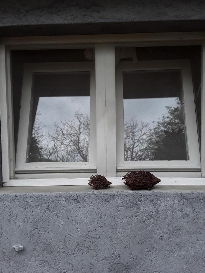 Bed and Breakfast L'Albero Di Alberto Valverde  Zewnętrze zdjęcie
